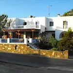 Golden Star איוס חורה