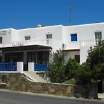 Golden Star איוס חורה