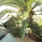 Golden Star בית הארחה איוס חורה