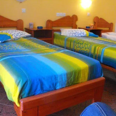 招待所 金色星星公寓