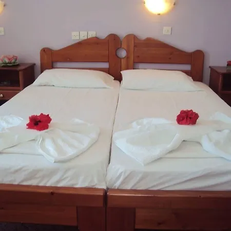 金色星星公寓 招待所